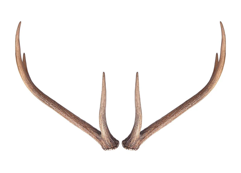 Wall Antlers