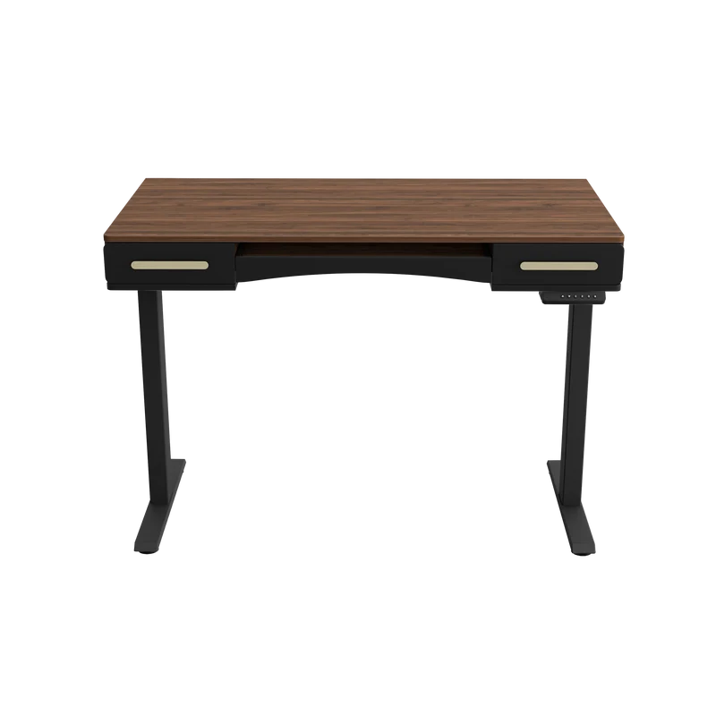 Mid-Century Modern Desktop with Keyboard Tray