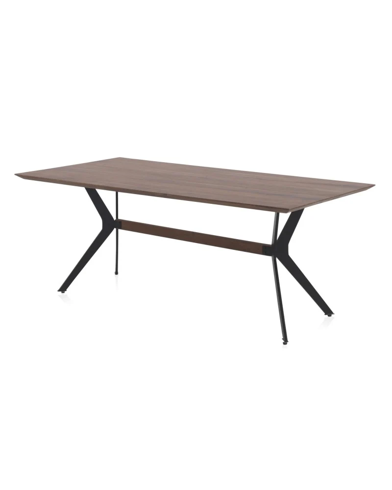 Mesa Fija Ebano 200x100cm