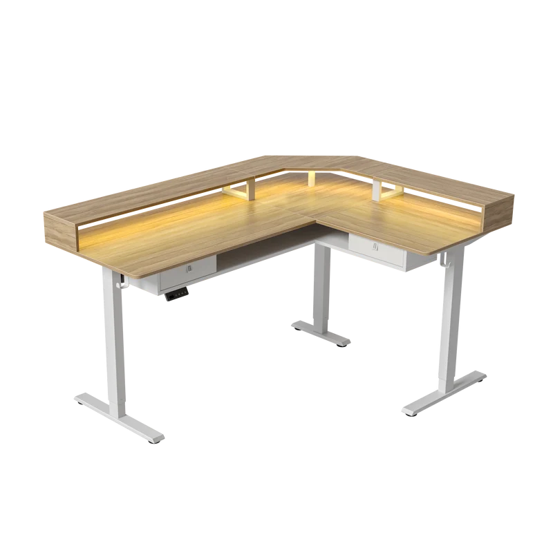 Single Motor L shape Desktop with Monitor Multi-Storage